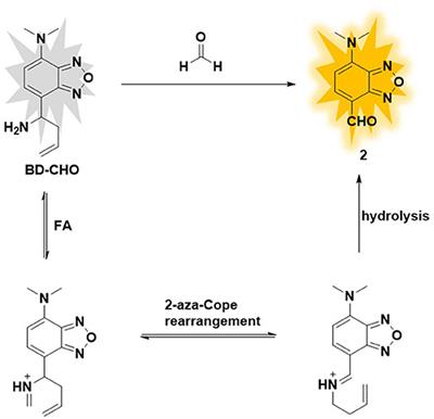 Imaging of Formaldehyde in Live Cells and Daphnia magna via Aza-Cope Reaction Utilizing Fluorescence Probe With Large Stokes Shifts